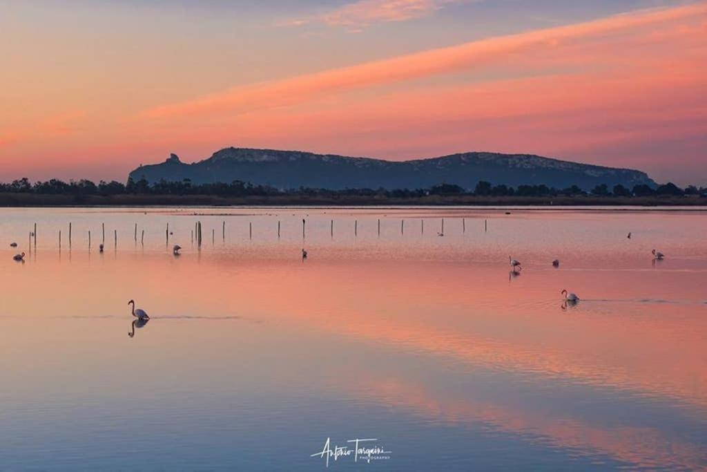 Suite Milu Кальяри Экстерьер фото
